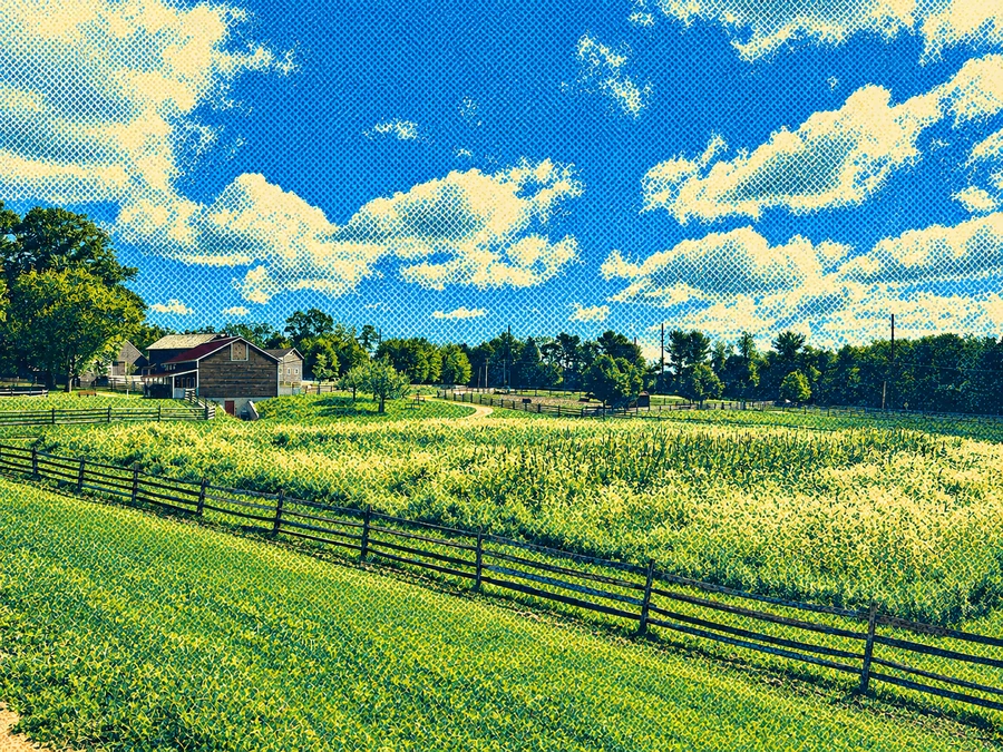 The owner’s local park photograph with blue sky, clouds, grass, wooden fences, and buildings, treated with colored dithering.